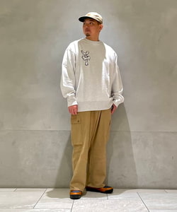 styling_image