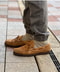 thumbail6