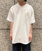 thumbail8