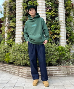 styling_image