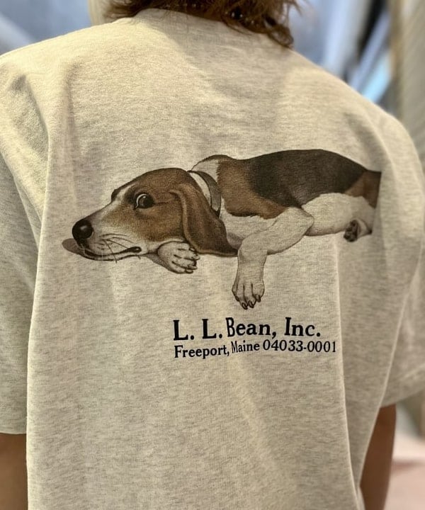 L.L.BEAN BEAMS 別注 犬Print Tee Beagle Tシャツ - Tシャツ 