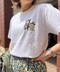 thumbail7