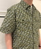 thumbail4
