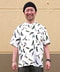 thumbail5