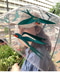 thumbail5
