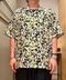 thumbail6