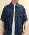thumbail4