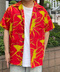 thumbail4