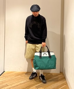 styling_image