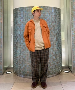 styling_image
