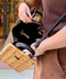 thumbail8