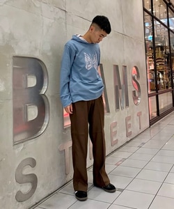 styling_image