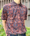 thumbail2