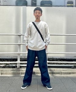styling_image