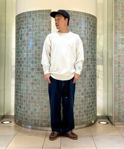 styling_image