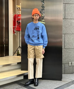 styling_image