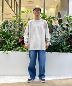 styling_image