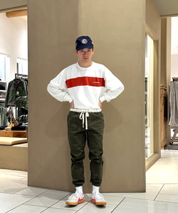 styling_image
