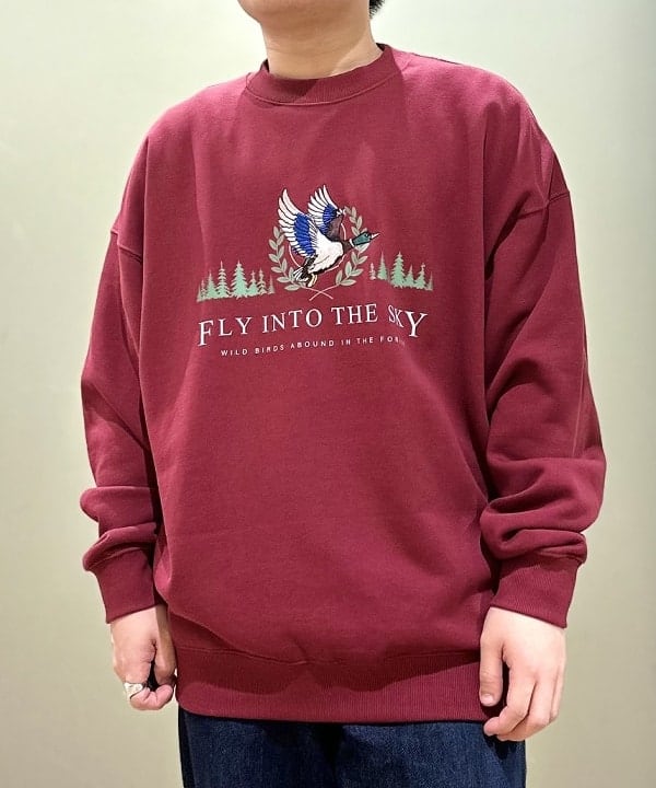 image2