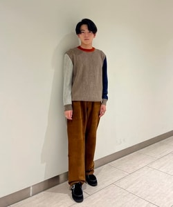 styling_image