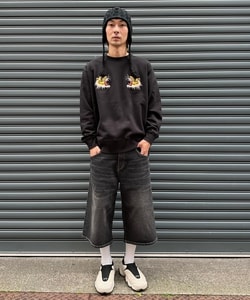 styling_image