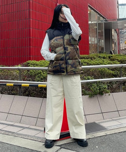 BEAMS（ビームス）THE NORTH FACE / Novelty Nuptse Vest（ブルゾン