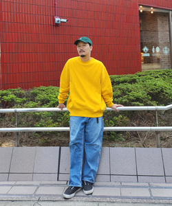 styling_image