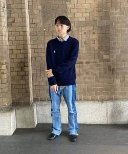 styling_image