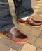 thumbail6