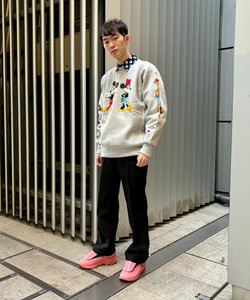styling_image