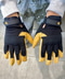 thumbail6