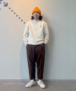 styling_image