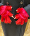 thumbail10