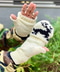 thumbail5