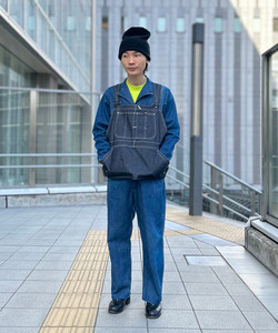 styling_image