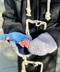 thumbail10