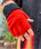 thumbail6