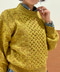 thumbail5