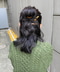 thumbail7