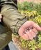 thumbail5