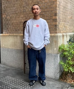 styling_image