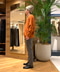 thumbail7