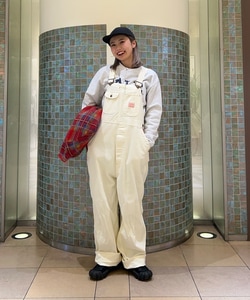 styling_image