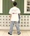thumbail6