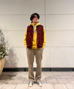 styling_image