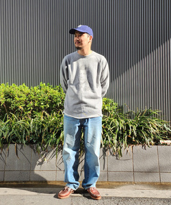 styling_image