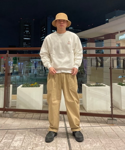 styling_image