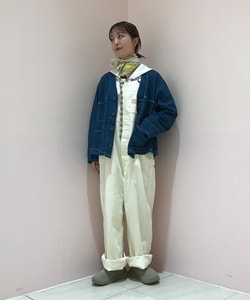 styling_image