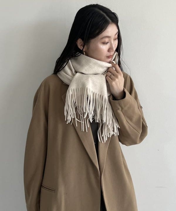 Demi-Luxe BEAMS（デミルクス ビームス）【別注】TICCA