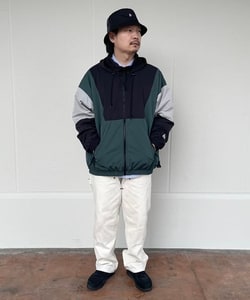 styling_image